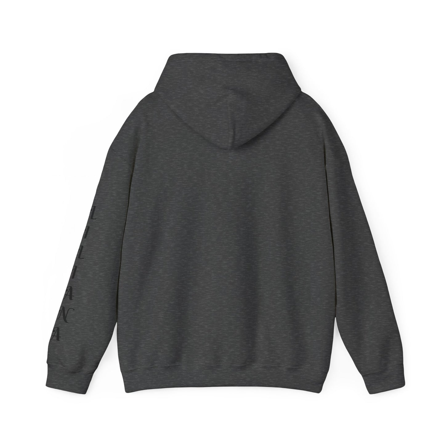 Peace Love Cheer Hoodie - Unisex Sweatshirt for Comfort and Style, Ideal Gift for Cheerleaders, Casual Wear, Birthday, and Holidays